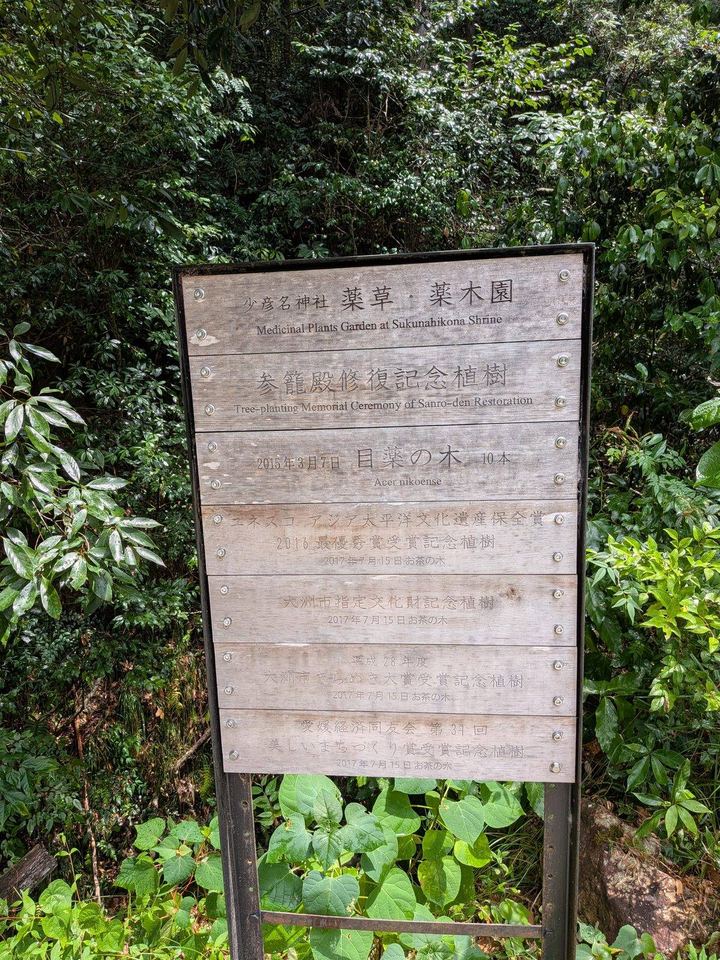林の中の説明板