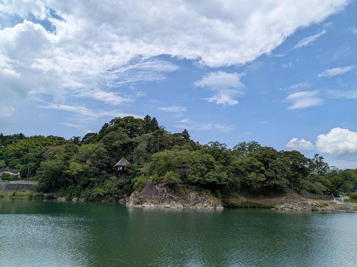 池と森の風景
