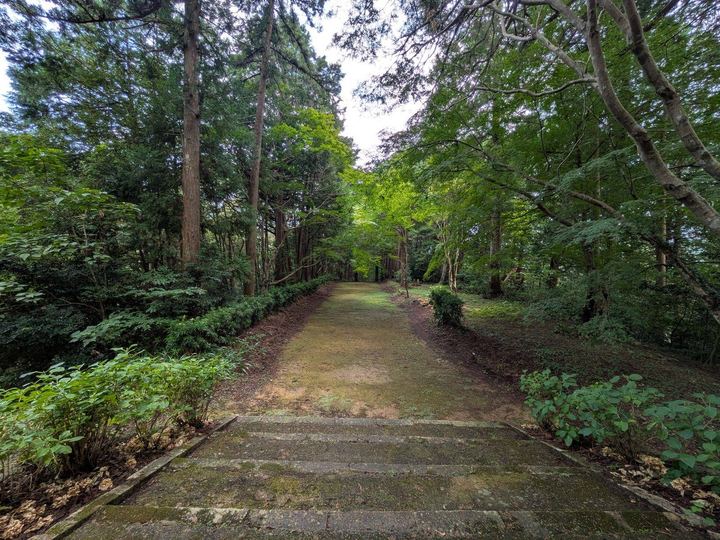 木立に挟まれた参道