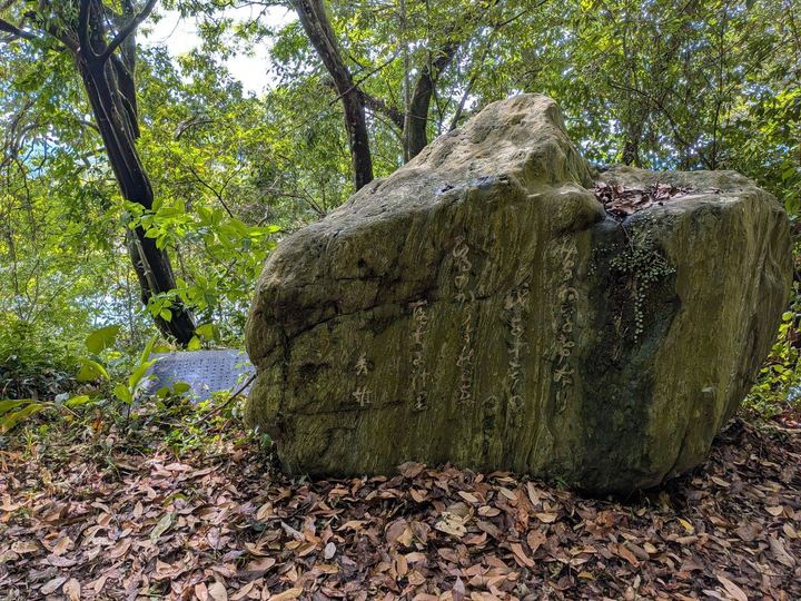 苔むした大きな石