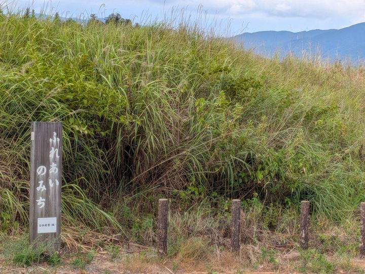 草地の斜面と道標