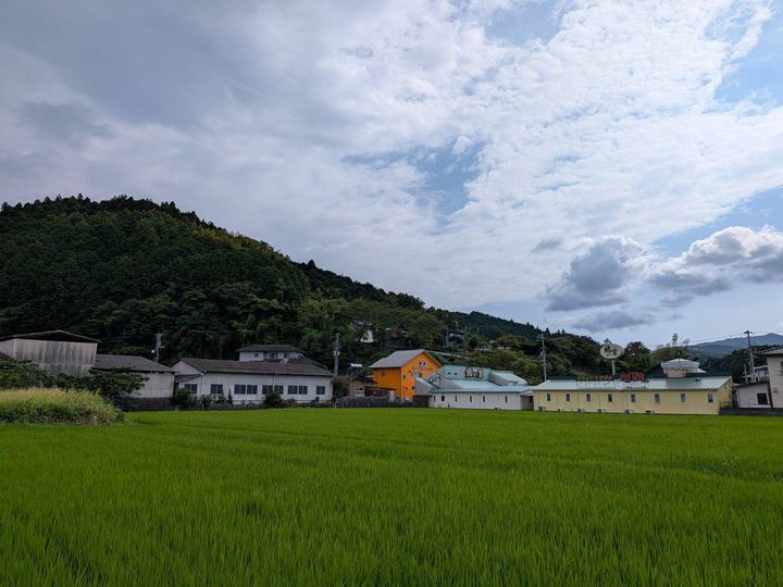 田んぼと山