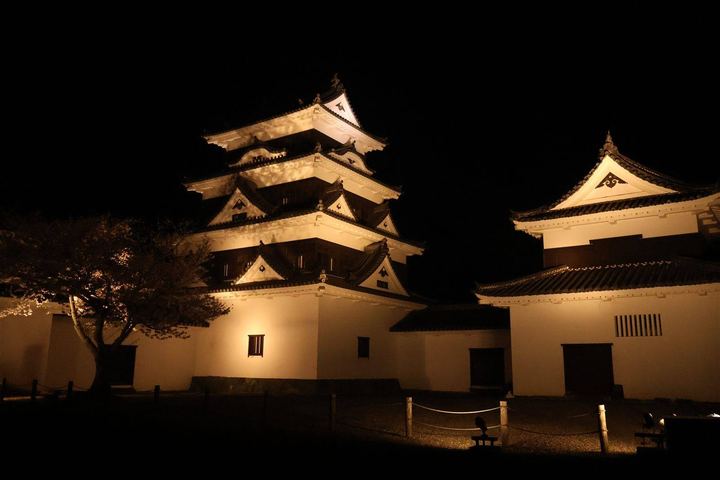 夜の大洲城と苧綿櫓